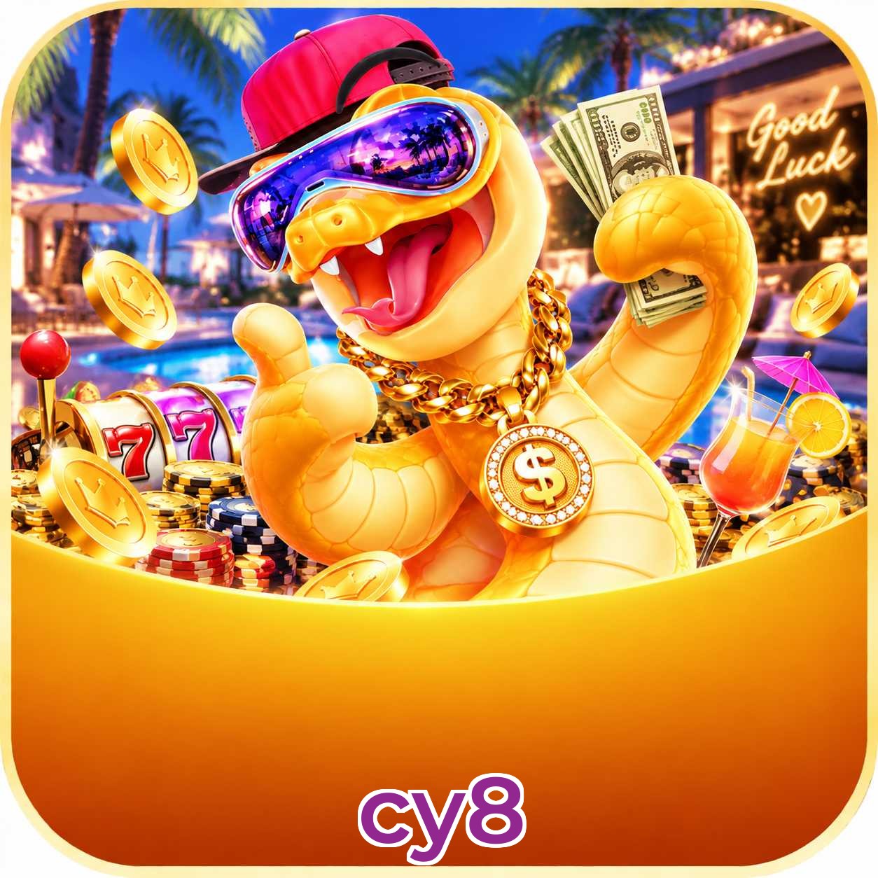 cy8 App Features